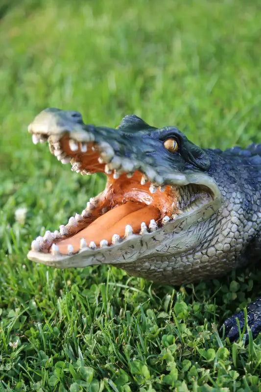 crocodile on the grass front left portrait
