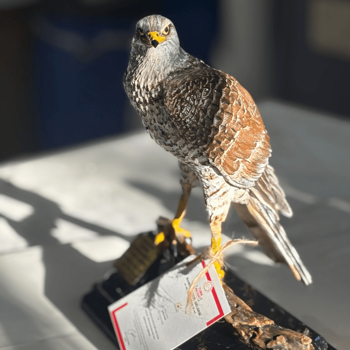 Lamithra Art kişiye özel isimli gerçekçi atmaca heykeli fiberglas dayanıklı dekoratif figür