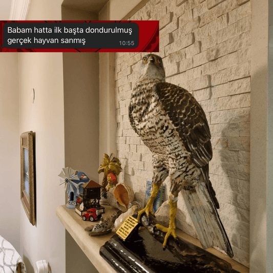 Lamithra Art kişiye özel isimli gerçekçi atmaca heykeli fiberglas dayanıklı dekoratif figür